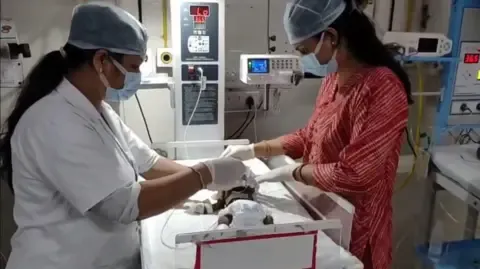 Baby Interred Living in India Battles for Her Life