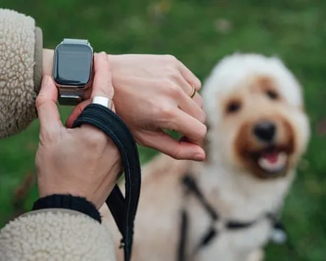 The Reality About Wearable Tech? Living Feels Fuller Lacking a Bossy Gadget on Your Arm